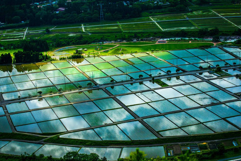 手取川流域