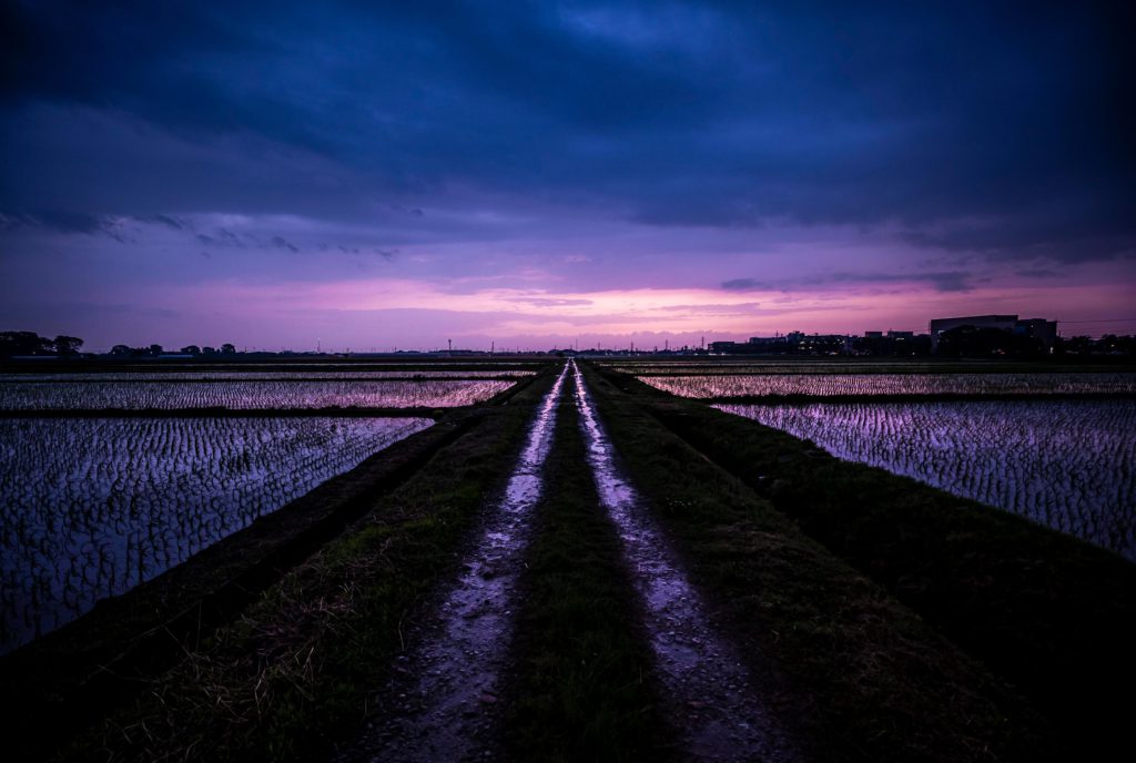 白山手取川の夕暮れ